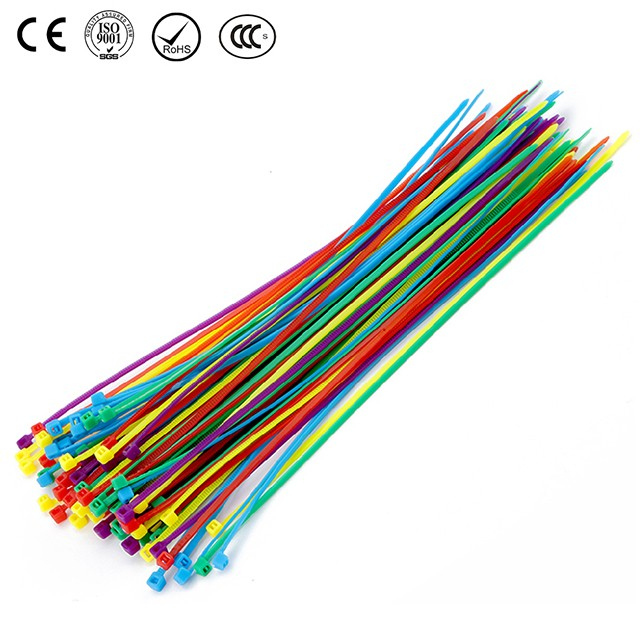 AD-4*100 Nylon Cable Tie